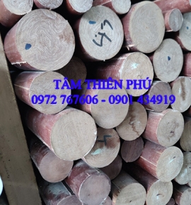 cây nhựa phíp bố