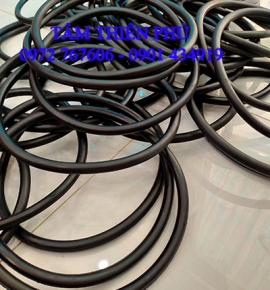 oring cao su chịu lực 